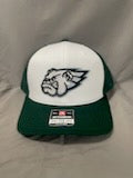 Richardson 112 "DAWG Eagle " Green and White Trucker Hat